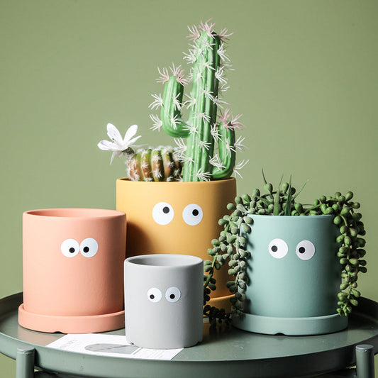 FP065S Halona Colorful Ceramic Flower Pot with eyes sticker and Saucer